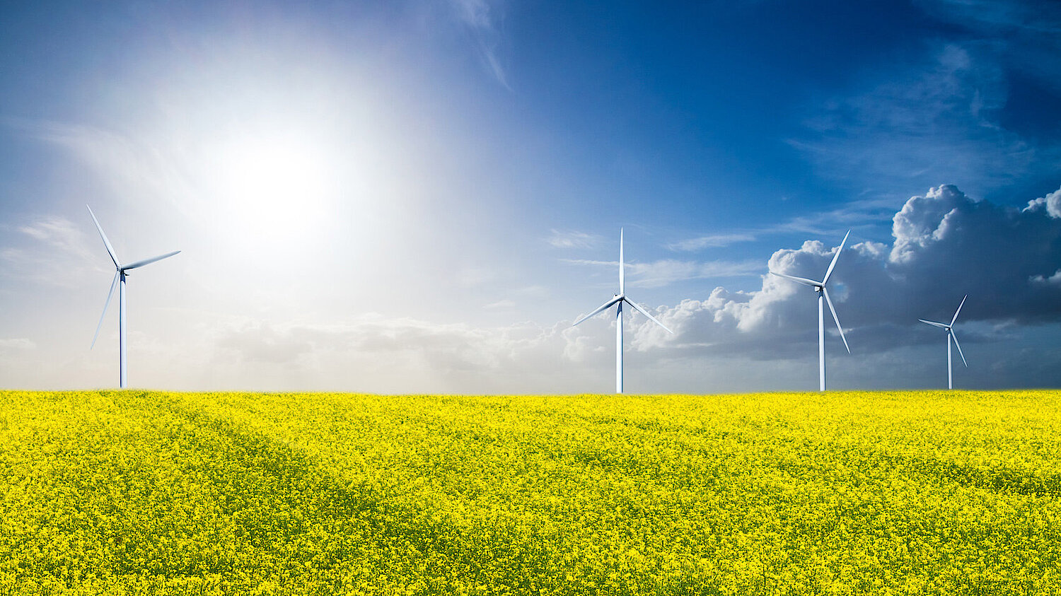 Photo of an agricultural landscape with wind turbines