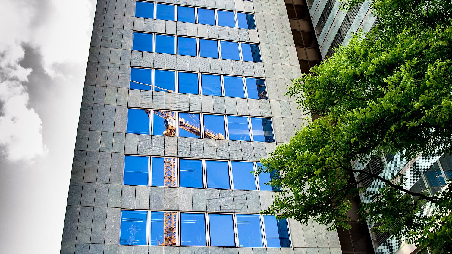 Photo office building with construction crane and tree